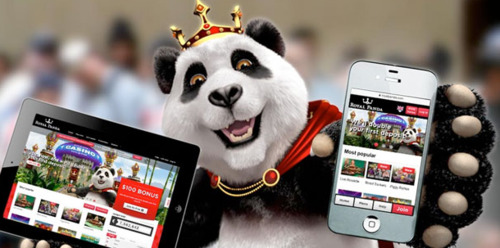 Royal Panda opis kasyna